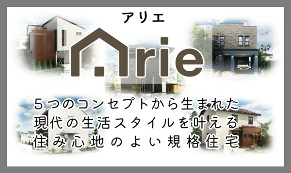 arie_logo2.jpg